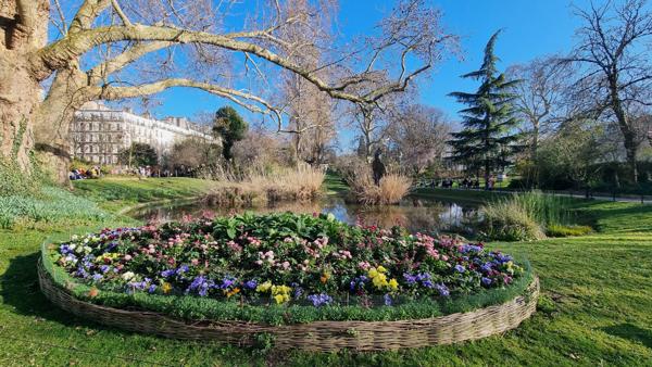 Appartement 2 pièces - 40 m² Exclusivité efficity