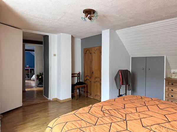 Charmante maison ancienne avec vaste terrain et piscine - La Pellerine