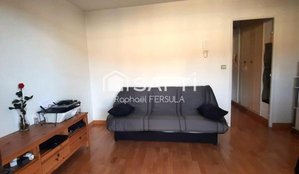 Confortable T1, grande Terrasse