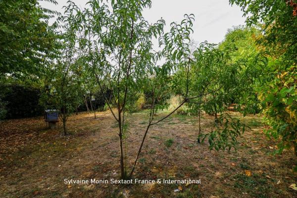 Terrain constructible d'environ 900 m2, au calme, clos et arboré, commerces à pied