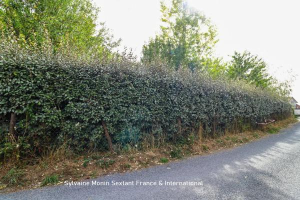 Terrain constructible d'environ 900 m2, au calme, clos et arboré, commerces à pied