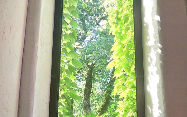 Maison à vendre    7 pièces • 280 m2 Gex