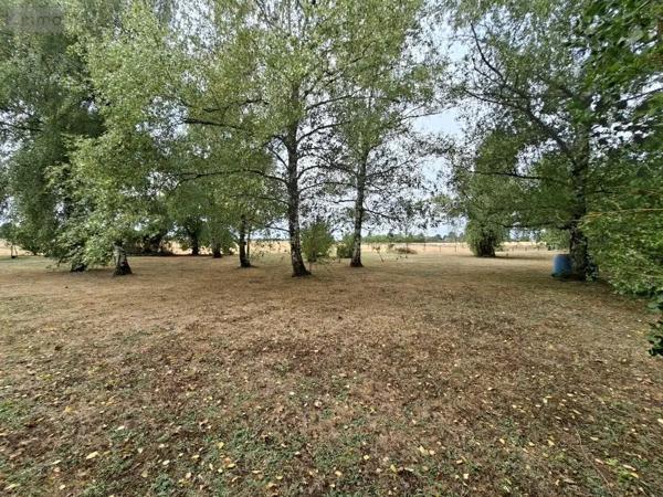 Achat - Terrain à bâtir Artannes-sur-Indre 37260 1270 m 2
