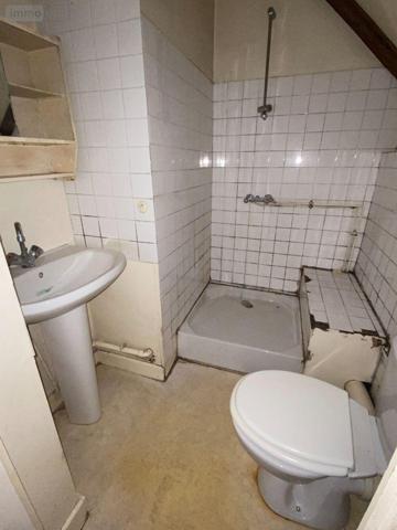 Maison à vendre à Saint-Santin-Cantalès dans le Cantal (15150), ref : 15061-41