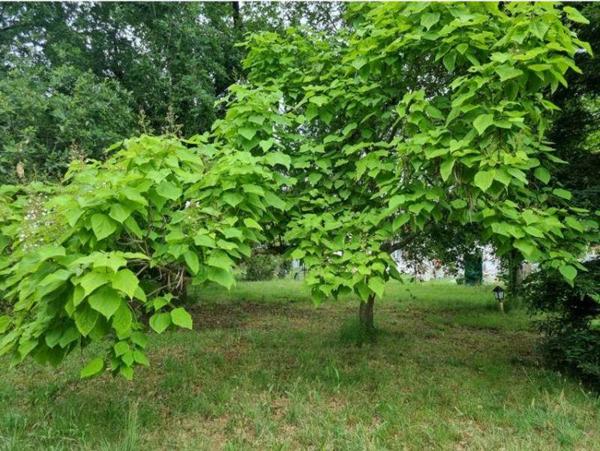 Terrain 174 400 € Biganos 745 m² DPE