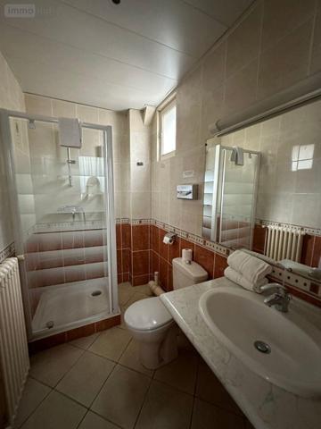 Murs commerciaux à vendre à Montrichard-Val-de-Cher dans le Loir-et-Cher (41400), ref : 12101/1262   
CENTRE BOURG