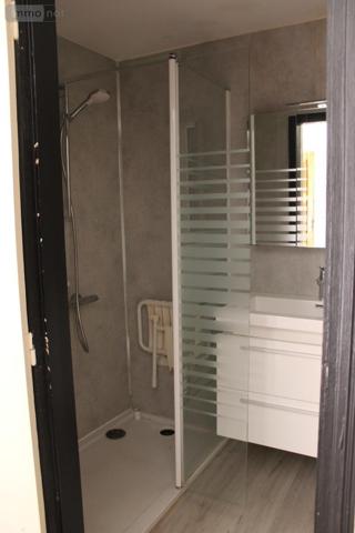 Immeuble à vendre à Vichy dans l'Allier (03200), ref : 63022-11