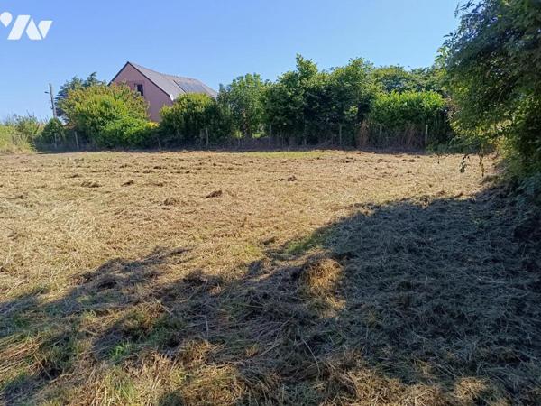 TERRAIN A BATIR + GRANDE DEPENDANCE  LE TOUT SUR 1 133 m²