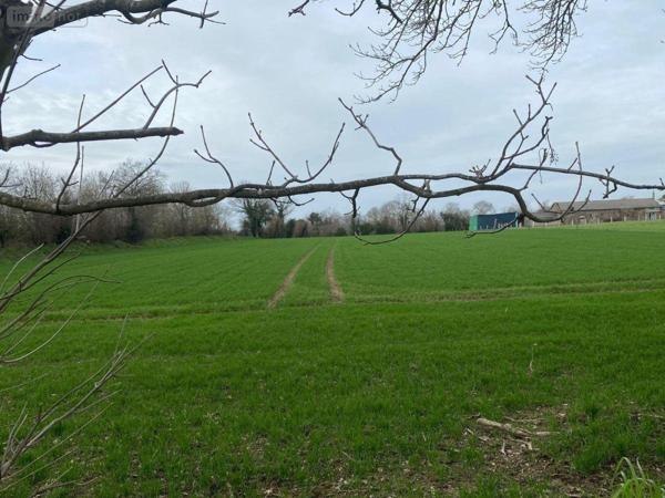 Terrain à Batir à vendre à Vire-Normandie dans le Calvados (14500), ref : 14076-4940