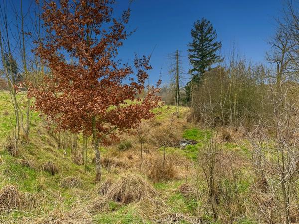 Maison à vendre 2 pièces SAINT MAUR (18)