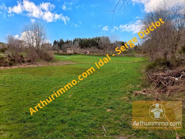 Vente                                                      Terrain
                        
                                         1460 m2                     à Les Laubies