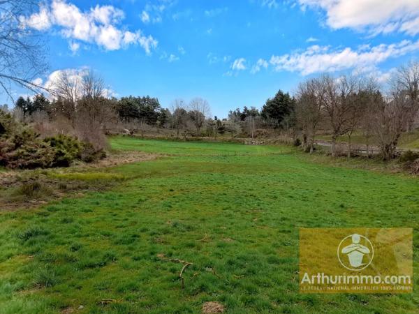 Vente                                                      Terrain
                        
                                         1460 m2                     à Les Laubies