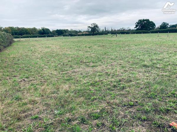 Beau terrain plat constructible