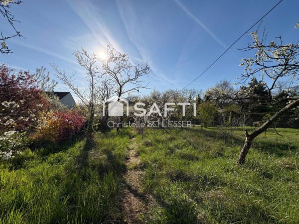 Maison avec un grand jardin de 1000 M2, trois chambres, cuisine ouverte sur le séjour