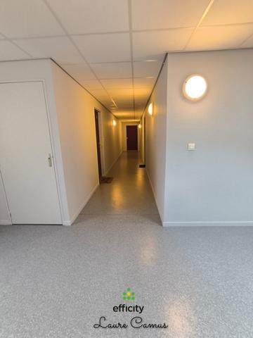 Appartement 3 pièces - 66 m² Exclusivité efficity