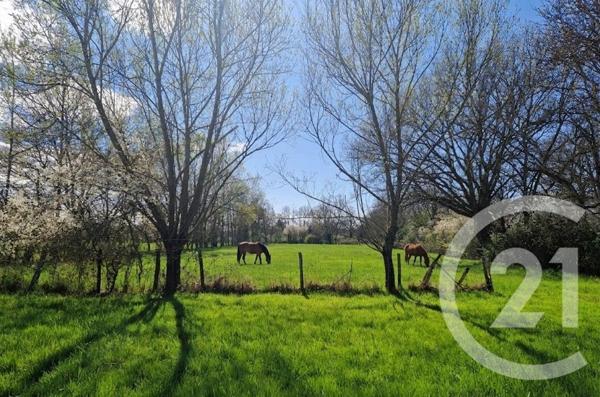 Maison à vendre  5 pièces - 182 m2 CRAS SUR REYSSOUZE - 01