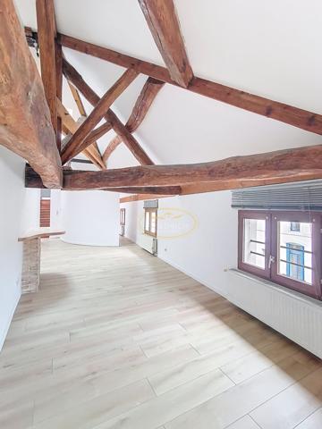 APPARTEMENT F3 Bis EN TRIPLEX Ligny-en-barrois APPARTEMENT F3 Bis EN TRIPLEX Ligny-en-barrois