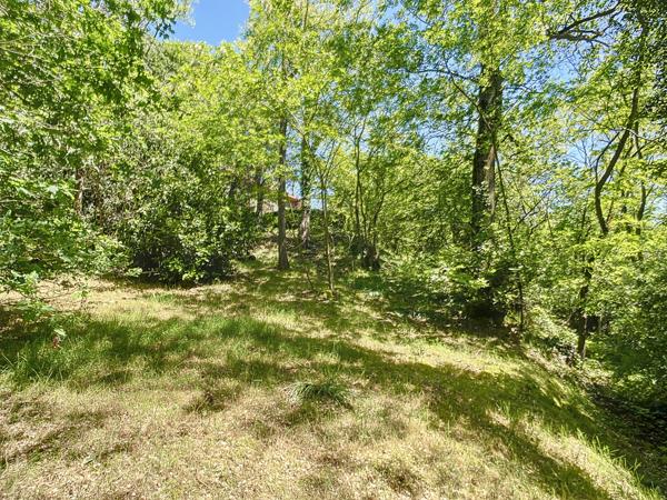 Reyrieux (01600) Maison 139.87m² terrain 2069m² boisé