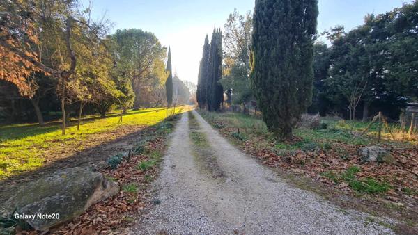 CABANNES - Mas mitoyen divisé en deux logements avec grand terrain