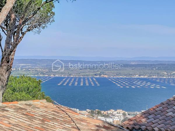 Terrain de 1 720 m²