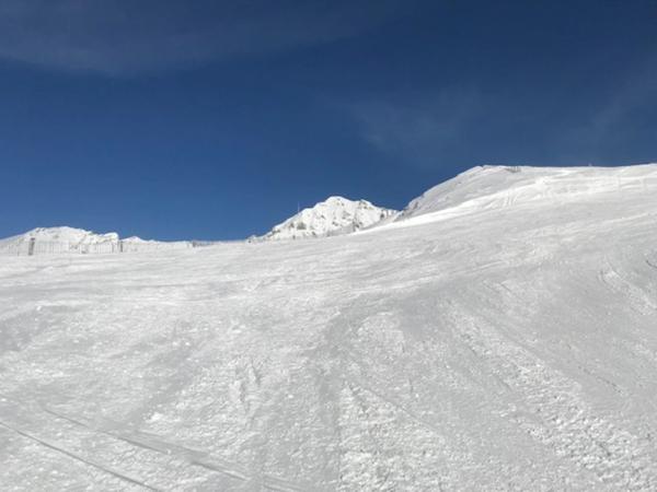 Appartement à vendre 2 pièces LA MONGIE (65) avec un balcon, 2 celliers, 2 casiers à ski, et un Parking extérieur.