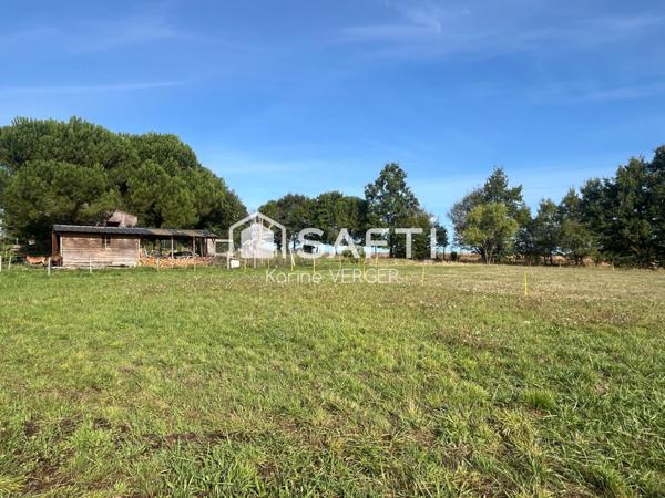 Saint-Georges de Montaigu, nature et lumière