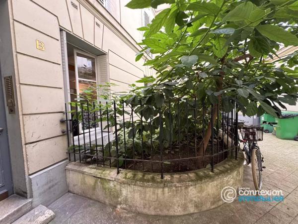 Studio marché Lévis !
