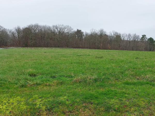 Terrain constructible