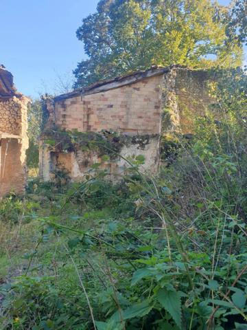 Dép 17270, Maison + dépendaces + 17 hectares !!!