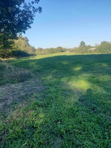 Dép 17270, Maison + dépendaces + 17 hectares !!!