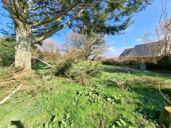 Maison à vendre à Flottemanville-Hague dans la Manche (50690), ref : 50108-4754