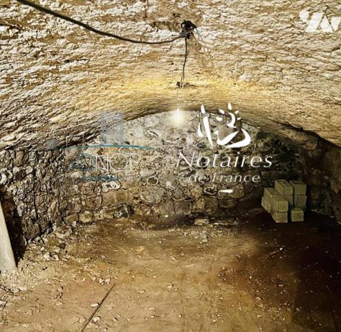 MAISON EN PIERRE AVEC GITE INDEPENDANT