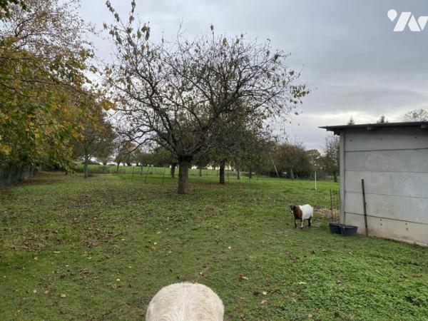 AXE VIRE-CAEN , PAVILLON DE PLAIN -PIED AVEC TERRAIN 