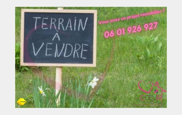 Vente Terrain Vallet   