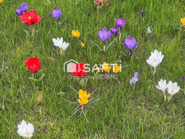 Terrain Constructible dans le Centre de Dange-Saint -Romain