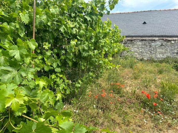 Saumur(49400) à 2,5km du coeur de ville, maison de 110m² entièrement restaurée - Garage - Jardin indépendant