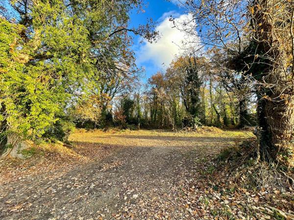 Maison 4 pièces, 83,60 m²