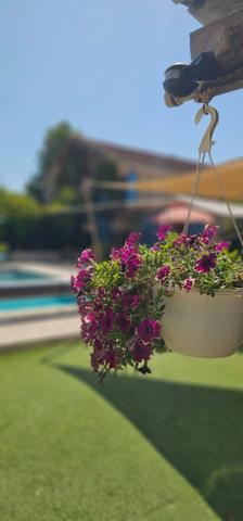 Maison de charme à Dauphin (04300) : L'alliance parfaite de l'ancien et du moderne