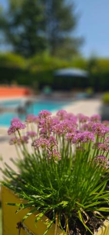 Maison de charme à Dauphin (04300) : L'alliance parfaite de l'ancien et du moderne