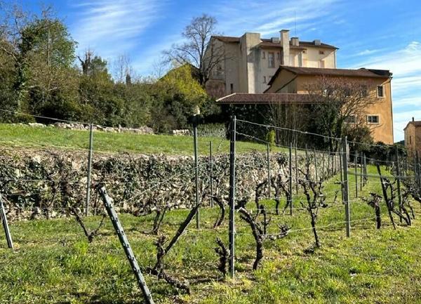 Terrain à vendre    Rocher