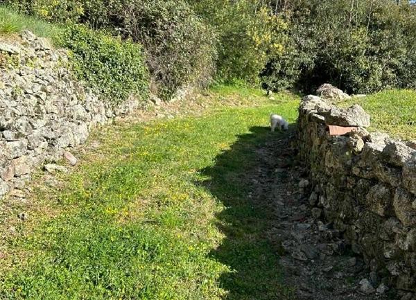 Terrain à vendre    Rocher