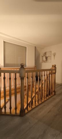 Elsenheim (67390) ELSENHEIM, prox MARCKOLSHEIM, Maison contemporaine 185 m² avec piscine et jardin.