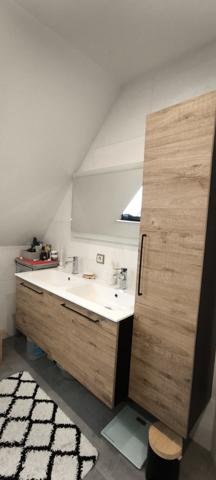 Elsenheim (67390) ELSENHEIM, prox MARCKOLSHEIM, Maison contemporaine 185 m² avec piscine et jardin.