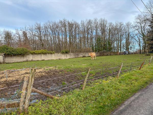 Terrain Cosntructible -Theillay - 1106 m² -