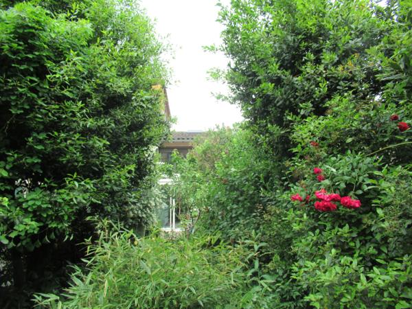 Montauban (82000) MAISON DE VILLE AVEC JARDIN