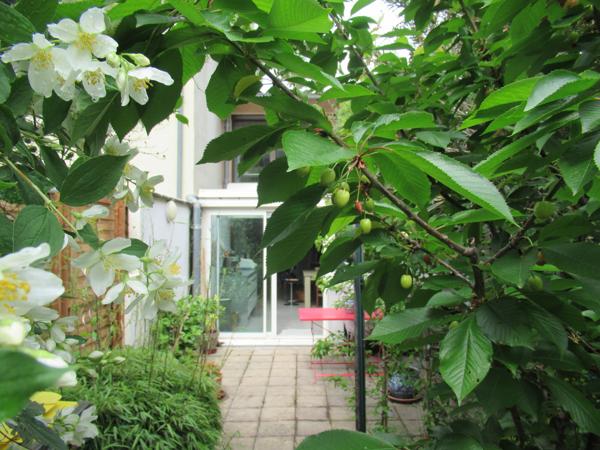 Montauban (82000) MAISON DE VILLE AVEC JARDIN