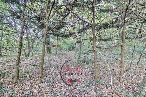 Terrain de loisirs boisé à Fay Aux Loges