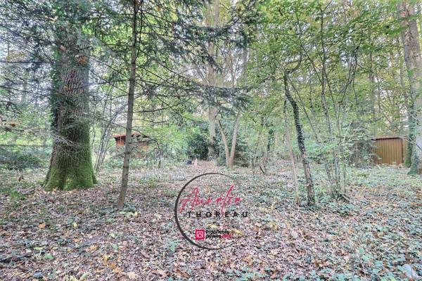 Terrain de loisirs boisé à Fay Aux Loges