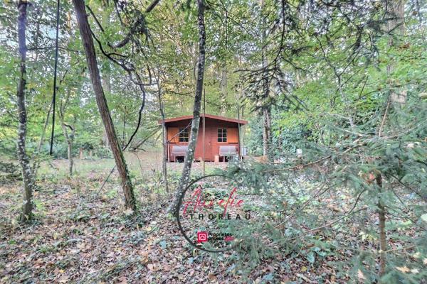 Terrain de loisirs boisé à Fay Aux Loges