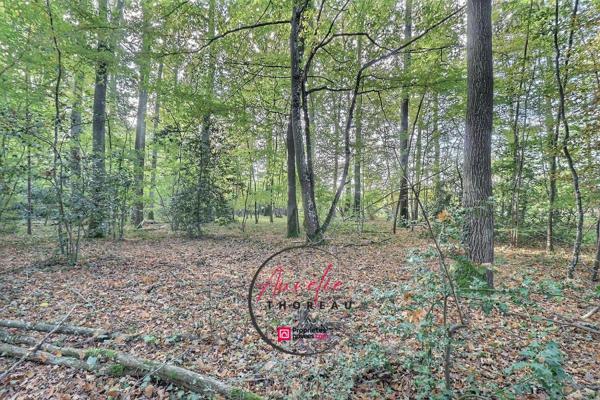 Terrain de loisirs boisé à Fay Aux Loges